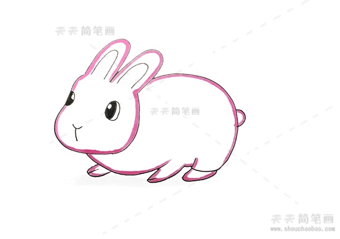 4步画出可爱的小兔子简笔画
