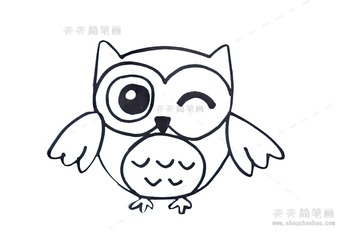 猫头鹰简笔画简单步骤教程,教你画一只可爱的猫头鹰