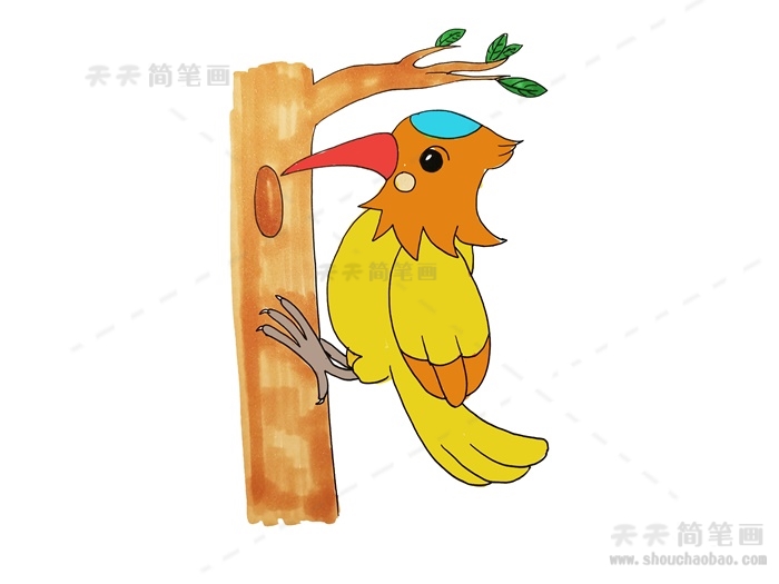啄木鸟简笔画简单又漂亮教程，啄木鸟简笔画彩色怎么画