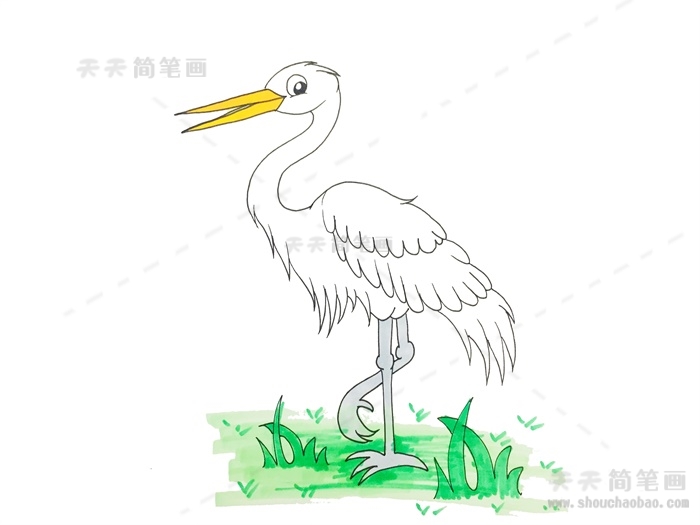 白鹭鸟的简笔画图片