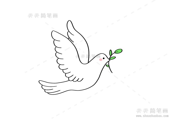 和平鸽橄榄枝简笔画教程,叼橄榄枝的鸽子的画法